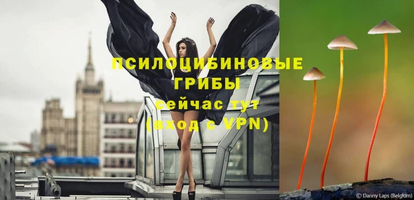 СК Аркадак