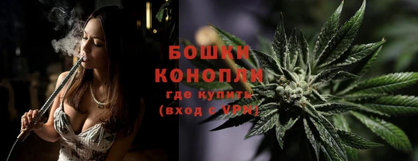 стаф Сафоново