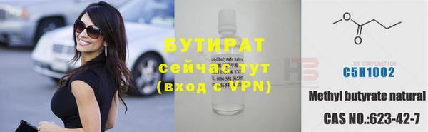 шишки Сатка