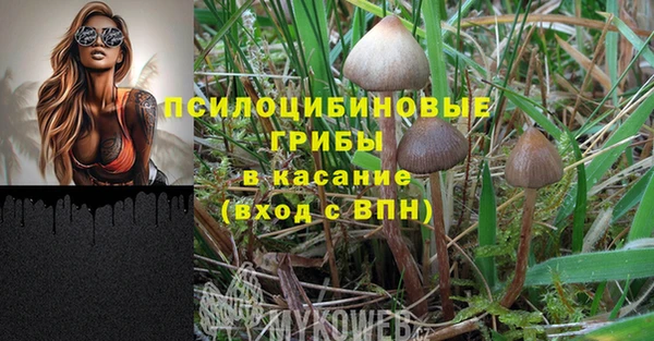 PSILOCYBIN Арсеньев
