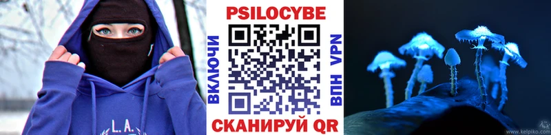 Псилоцибиновые грибы Psilocybe Зеленодольск