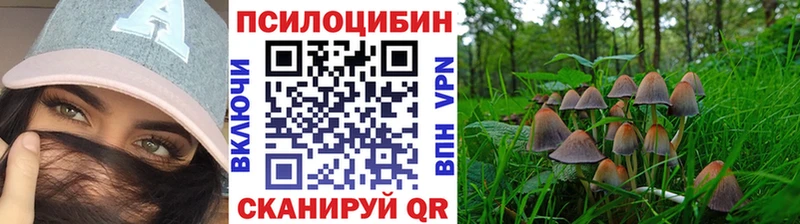 Псилоцибиновые грибы мухоморы Зеленодольск